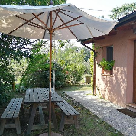 ブリジゲッラ Agriturismo Il Palazzoヴィラ エクステリア 写真