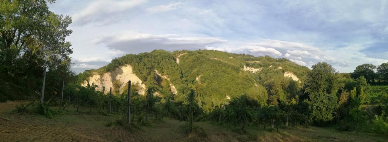 ブリジゲッラ Agriturismo Il Palazzoヴィラ エクステリア 写真
